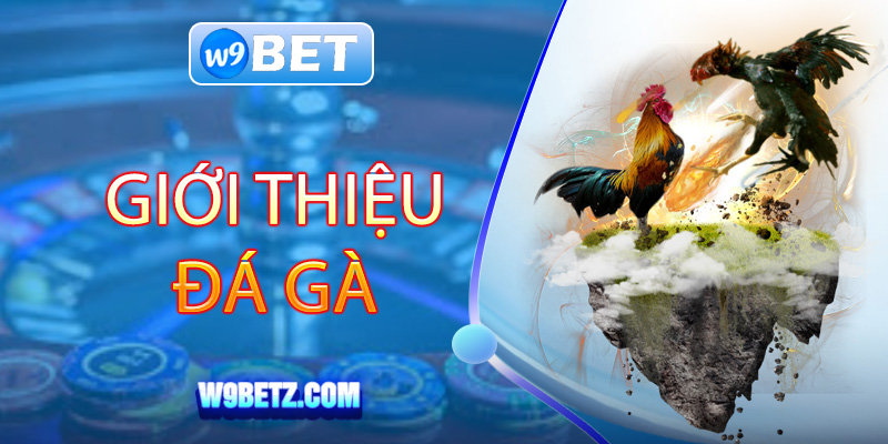 Sơ lược về sảnh game Đá Gà W9BET