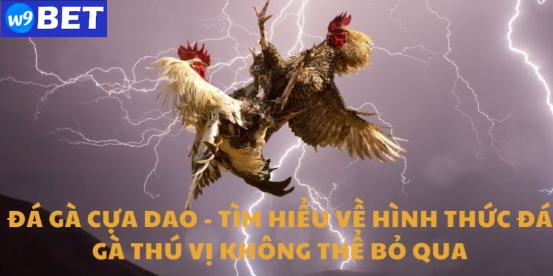 Chơi đá gà cựa dao trực tuyến xanh chín