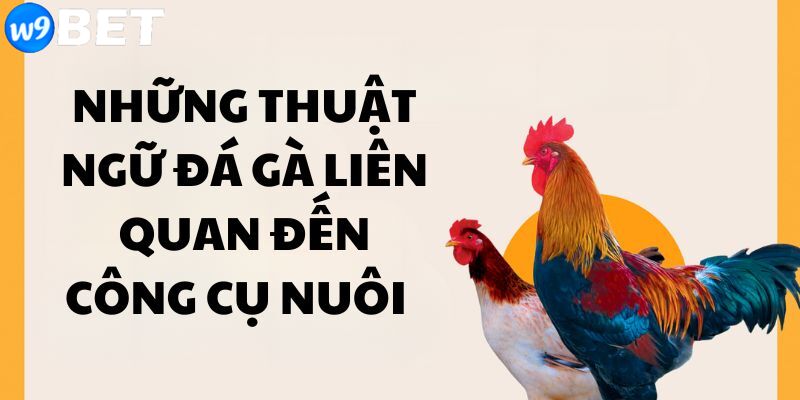 Những thuật ngữ đá gà liên quan đến công cụ nuôi 